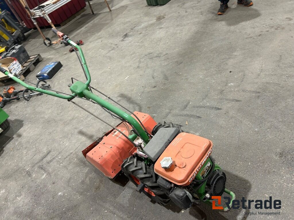 Jord Fres fra Agria 3366 - Tuinfrees: afbeelding 2 Jord Fres fra Agria 3366 - Tuinfrees: afbeelding 2