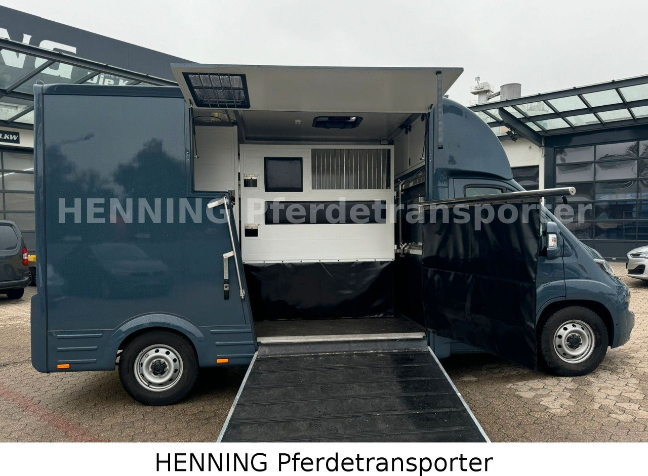 Fiat Ducato *AUTOMATIK* 3 - Sitzer - Veewagen vrachtwagen: afbeelding 4 Fiat Ducato *AUTOMATIK* 3 - Sitzer - Veewagen vrachtwagen: afbeelding 4