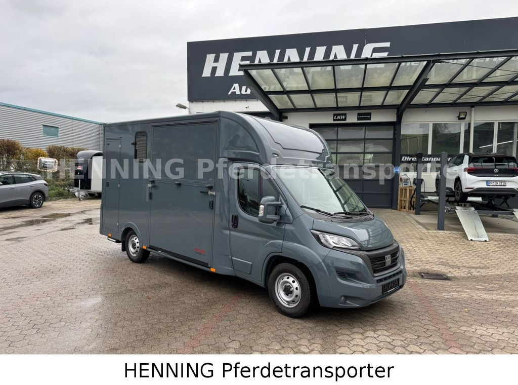 Fiat Ducato *NEUWAGEN* ca.1100 kg Nutzlast - Paardenvrachtwagen: afbeelding 1 Fiat Ducato *NEUWAGEN* ca.1100 kg Nutzlast - Paardenvrachtwagen: afbeelding 1