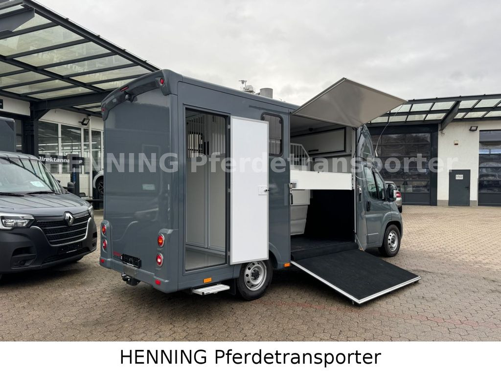 Fiat Ducato *NEUWAGEN* ca.1100 kg Nutzlast - Paardenvrachtwagen: afbeelding 3 Fiat Ducato *NEUWAGEN* ca.1100 kg Nutzlast - Paardenvrachtwagen: afbeelding 3