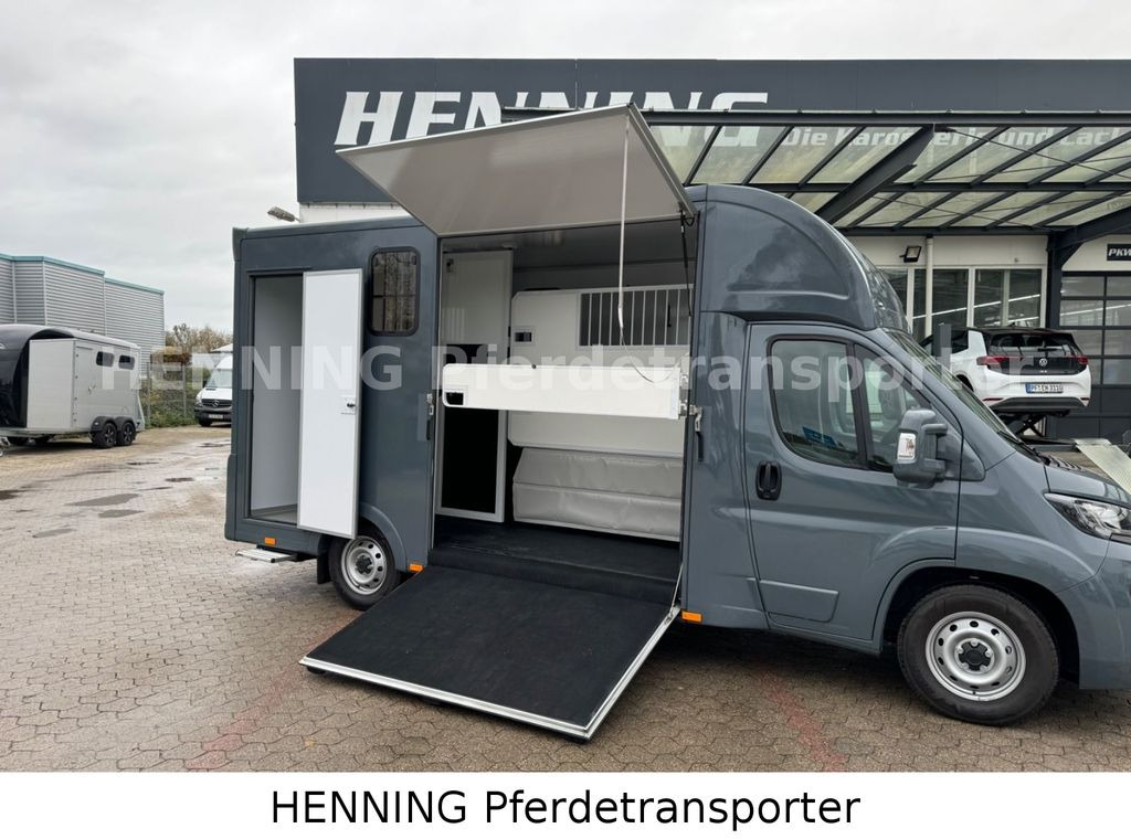 Fiat Ducato *NEUWAGEN* ca.1100 kg Nutzlast - Paardenvrachtwagen: afbeelding 4 Fiat Ducato *NEUWAGEN* ca.1100 kg Nutzlast - Paardenvrachtwagen: afbeelding 4
