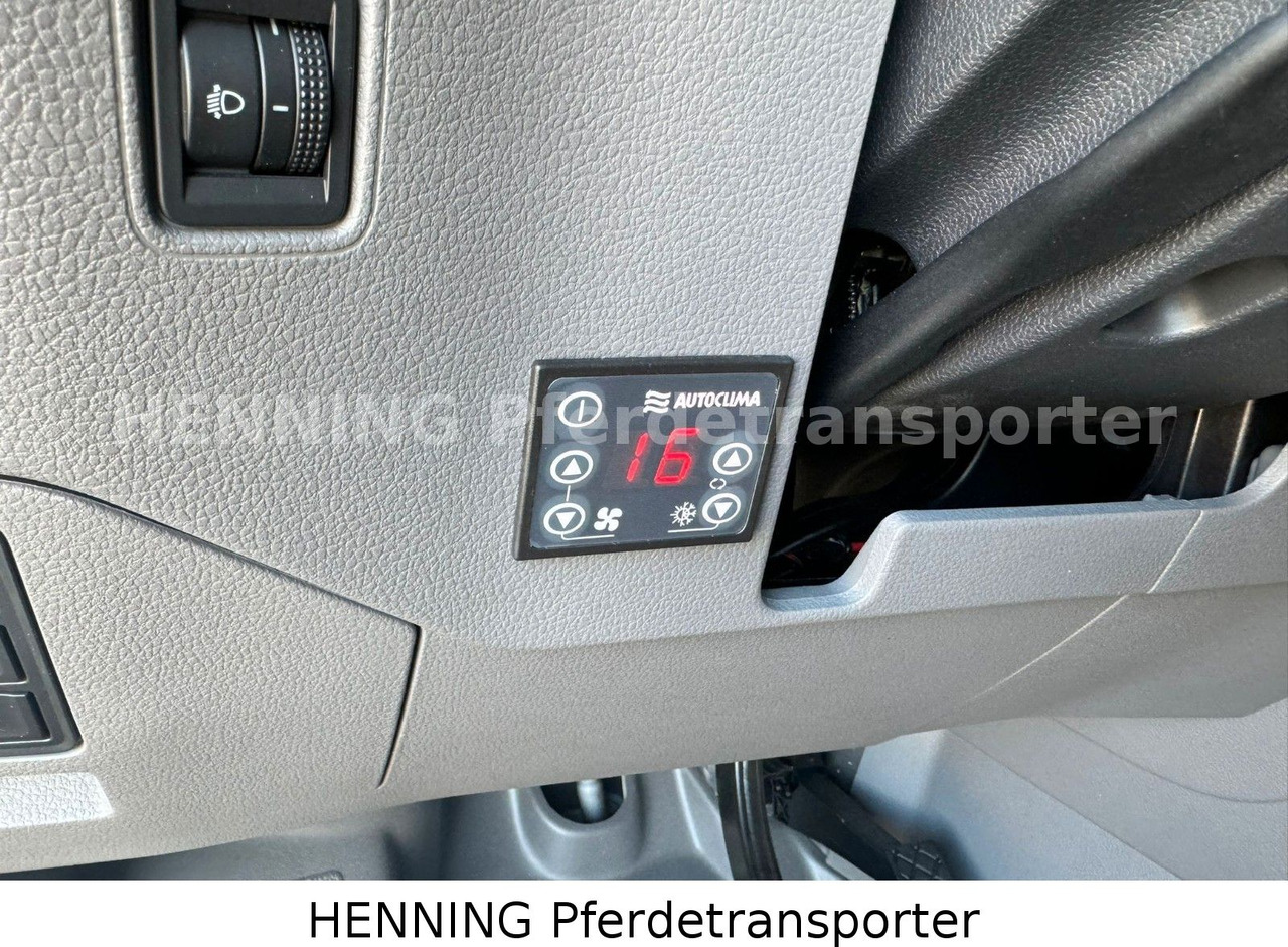 Veewagen vrachtwagen MAN TGE 3 - Sitzer *KLIMA PFERDEABTEIL*: afbeelding 16