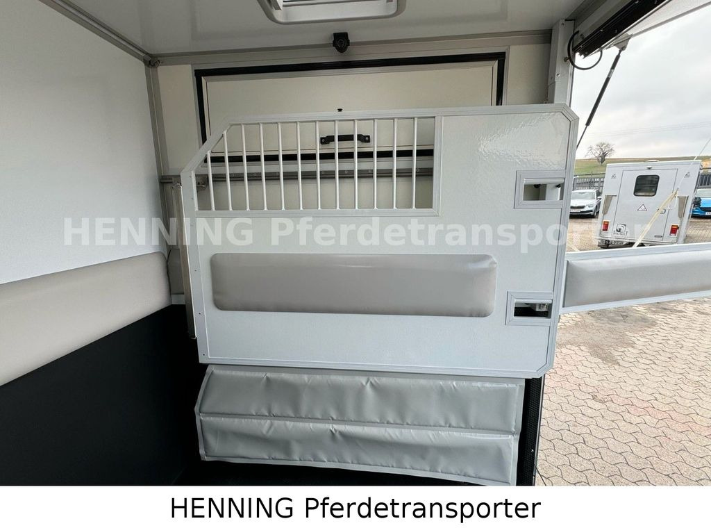 Nieuw Paardenvrachtwagen Mercedes-Benz Sprinter 3 - Sitzer *NEUFAHRZEUG*: afbeelding 10