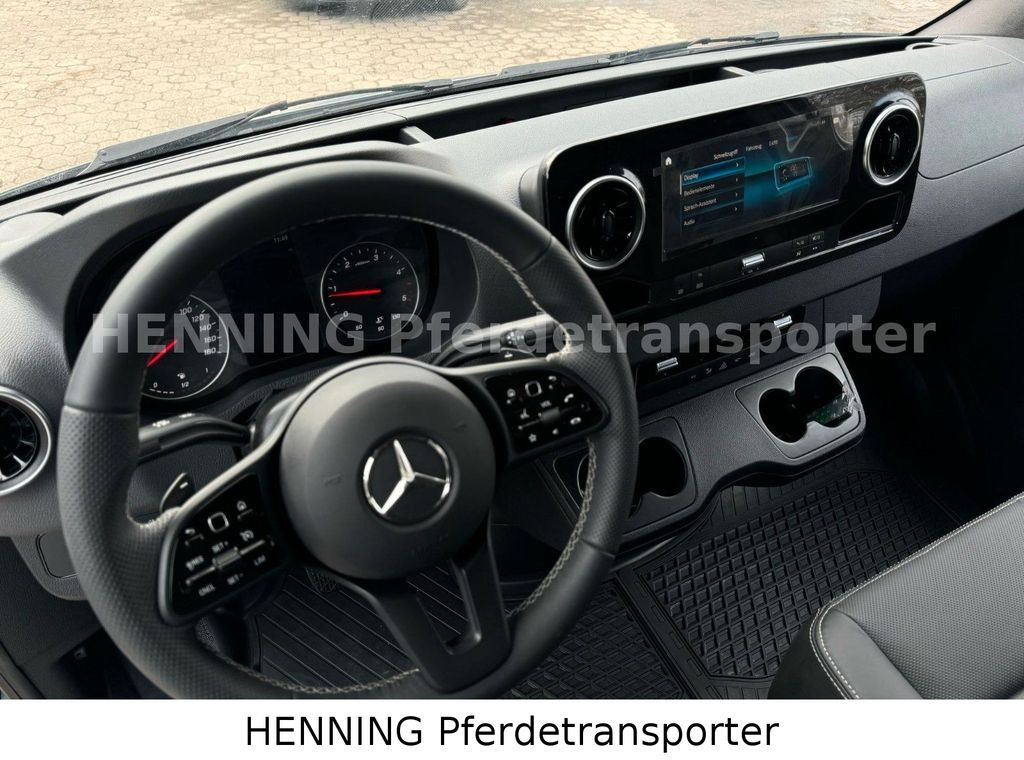 Nieuw Paardenvrachtwagen Mercedes-Benz Sprinter 3 - Sitzer *NEUFAHRZEUG*: afbeelding 18