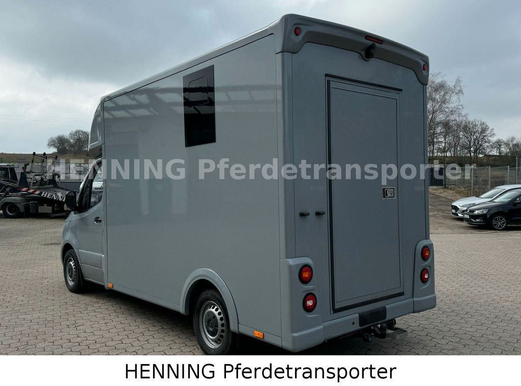 Nieuw Paardenvrachtwagen Mercedes-Benz Sprinter 3 - Sitzer *NEUFAHRZEUG*: afbeelding 15