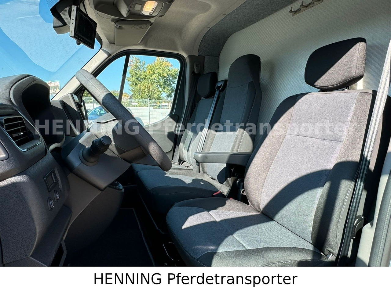 Nissan Interstar 3 - Sitzer - Veewagen vrachtwagen: afbeelding 5 Nissan Interstar 3 - Sitzer - Veewagen vrachtwagen: afbeelding 5