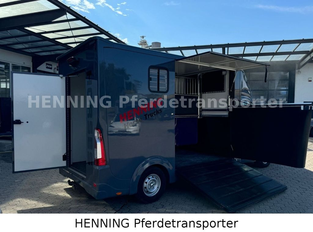 Opel Movano 3 - Sitzer *AUFBAU NEU* Opel Movano 3 - Sitzer *AUFBAU NEU* - Paardenvrachtwagen: afbeelding 3 Opel Movano 3 - Sitzer *AUFBAU NEU* Opel Movano 3 - Sitzer *AUFBAU NEU* - Paardenvrachtwagen: afbeelding 3