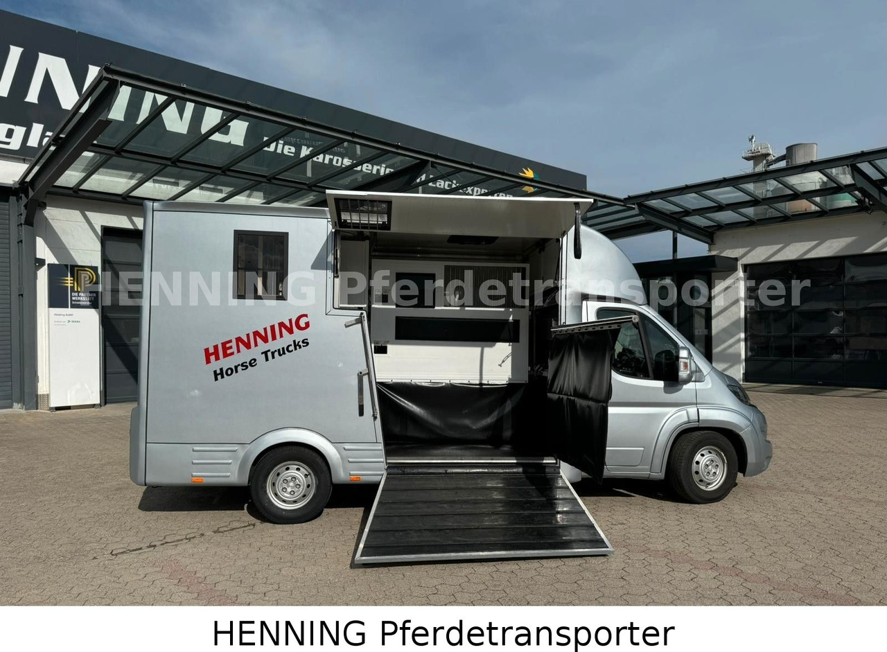 Peugeot Boxer 3 - Sitzer - Veewagen vrachtwagen: afbeelding 3 Peugeot Boxer 3 - Sitzer - Veewagen vrachtwagen: afbeelding 3