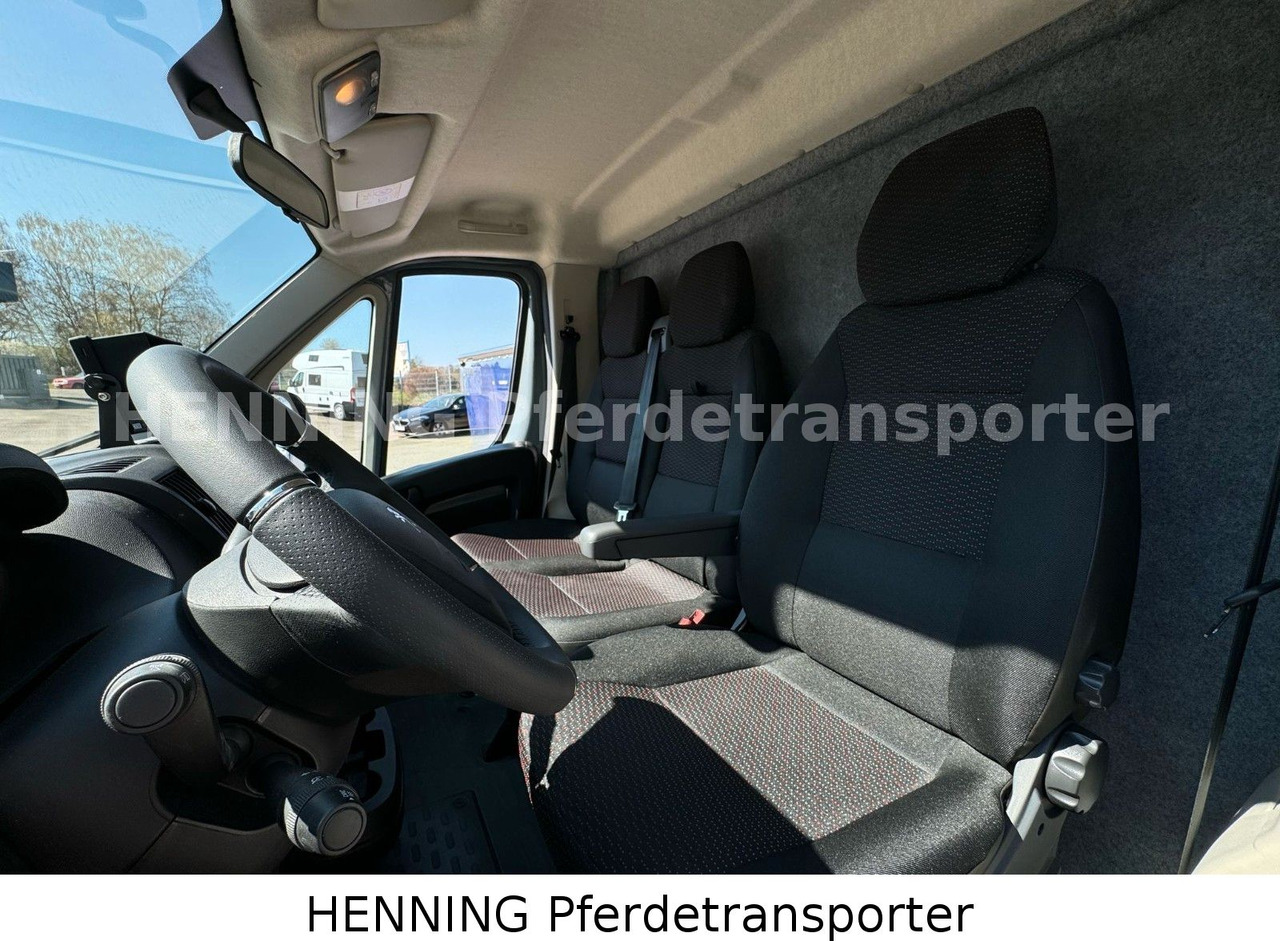 Paardenvrachtwagen Peugeot Boxer 3-Sitzer *NEUWAGEN* 1000 KG NUTZLAST: afbeelding 14