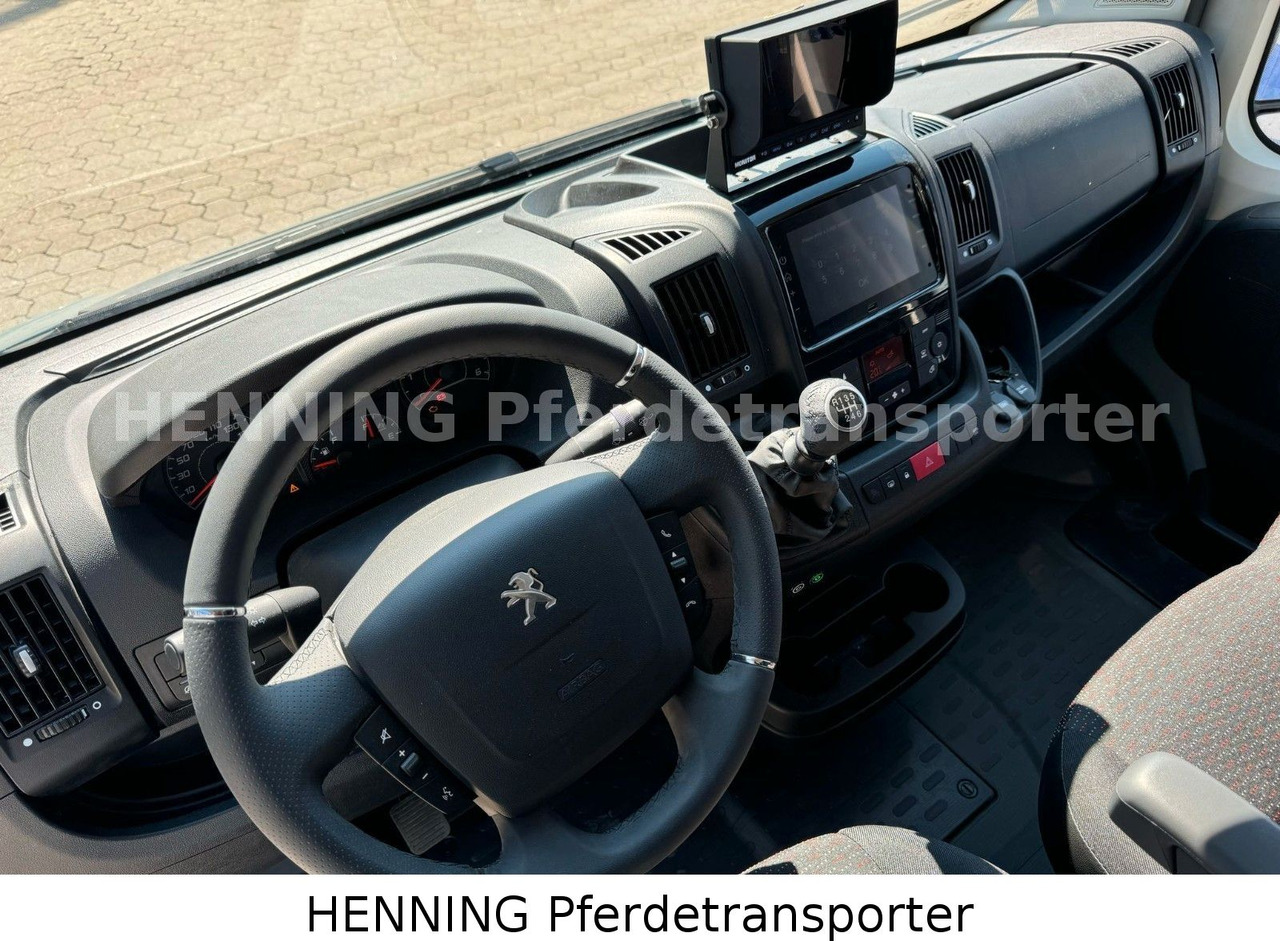 Paardenvrachtwagen Peugeot Boxer 3-Sitzer *NEUWAGEN* 1000 KG NUTZLAST: afbeelding 15