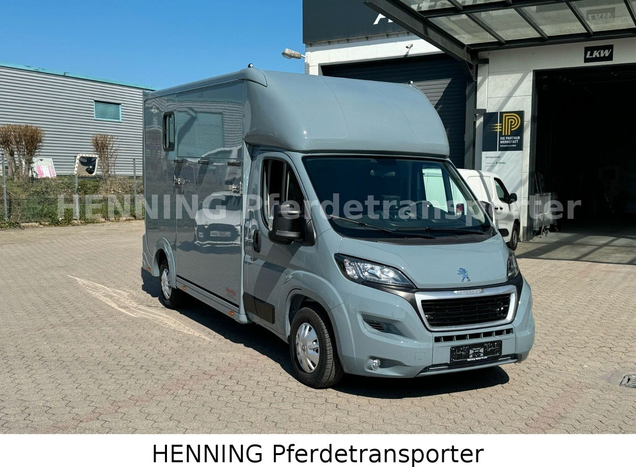 Peugeot Boxer 3-Sitzer *NEUWAGEN* 1000 KG NUTZLAST - Paardenvrachtwagen: afbeelding 2 Peugeot Boxer 3-Sitzer *NEUWAGEN* 1000 KG NUTZLAST - Paardenvrachtwagen: afbeelding 2