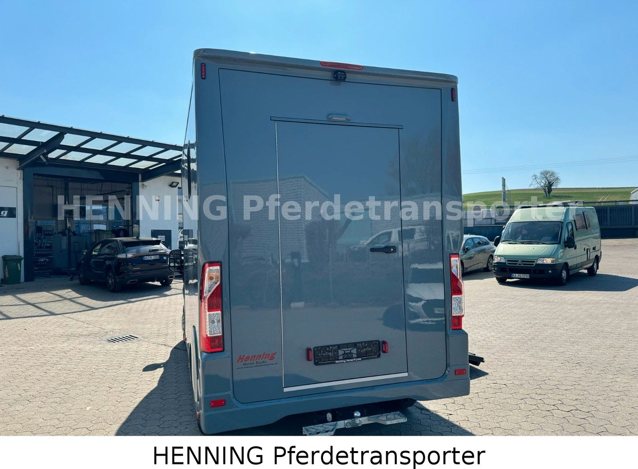 Paardenvrachtwagen Peugeot Boxer 3-Sitzer *NEUWAGEN* 1000 KG NUTZLAST: afbeelding 12