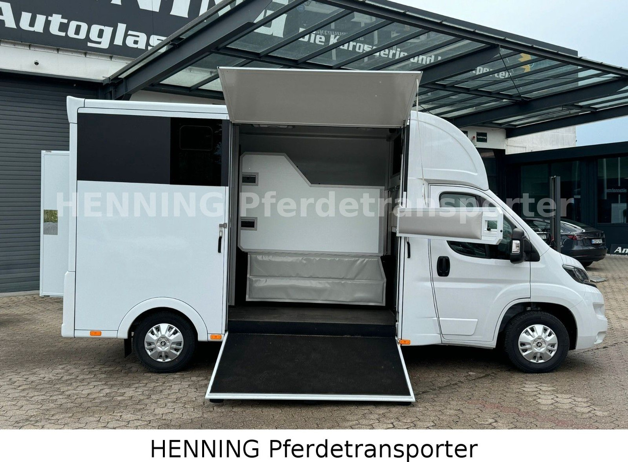 Peugeot Boxer *NEUWAGEN* ca. 1.200kg Nutzlast - Veewagen vrachtwagen: afbeelding 5 Peugeot Boxer *NEUWAGEN* ca. 1.200kg Nutzlast - Veewagen vrachtwagen: afbeelding 5