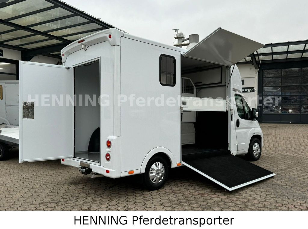 Peugeot Boxer *NEUWAGEN* ca. 1.200kg Nutzlast - Paardenvrachtwagen: afbeelding 4 Peugeot Boxer *NEUWAGEN* ca. 1.200kg Nutzlast - Paardenvrachtwagen: afbeelding 4