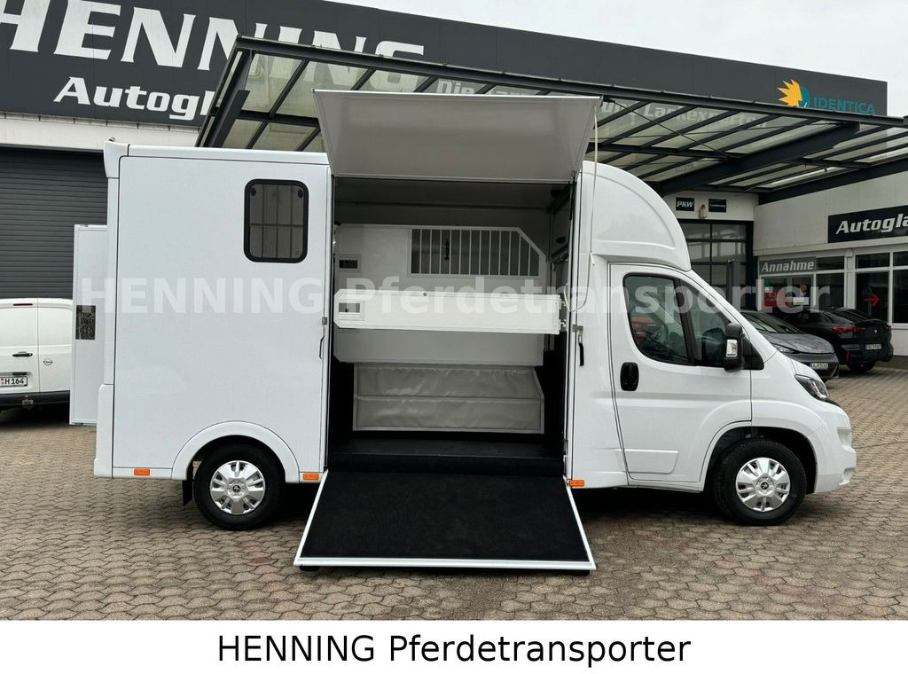 Peugeot Boxer *NEUWAGEN* ca. 1.200kg Nutzlast - Paardenvrachtwagen: afbeelding 5 Peugeot Boxer *NEUWAGEN* ca. 1.200kg Nutzlast - Paardenvrachtwagen: afbeelding 5