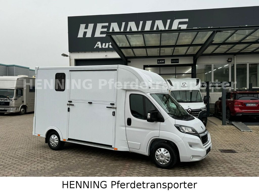 Peugeot Boxer *NEUWAGEN* ca. 1.200kg Nutzlast - Paardenvrachtwagen: afbeelding 1 Peugeot Boxer *NEUWAGEN* ca. 1.200kg Nutzlast - Paardenvrachtwagen: afbeelding 1