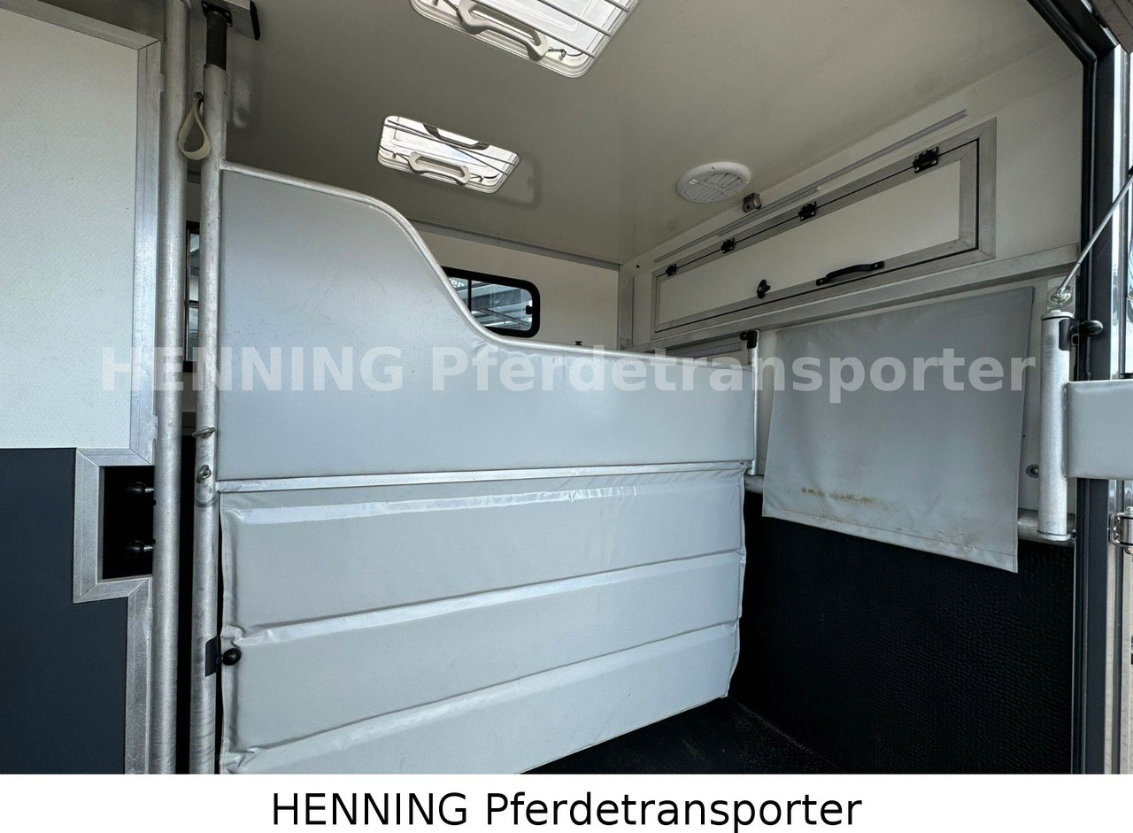 Renault 3-Sitzer - Paardenvrachtwagen, Bestelwagen: afbeelding 4 Renault 3-Sitzer - Paardenvrachtwagen, Bestelwagen: afbeelding 4