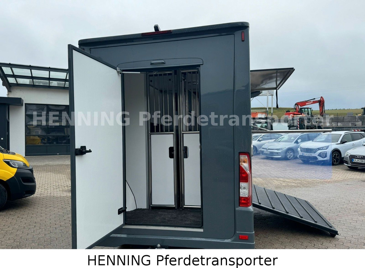 Renault Master 3 - Sitzer *NEUES MODELL* - Veewagen vrachtwagen: afbeelding 4 Renault Master 3 - Sitzer *NEUES MODELL* - Veewagen vrachtwagen: afbeelding 4