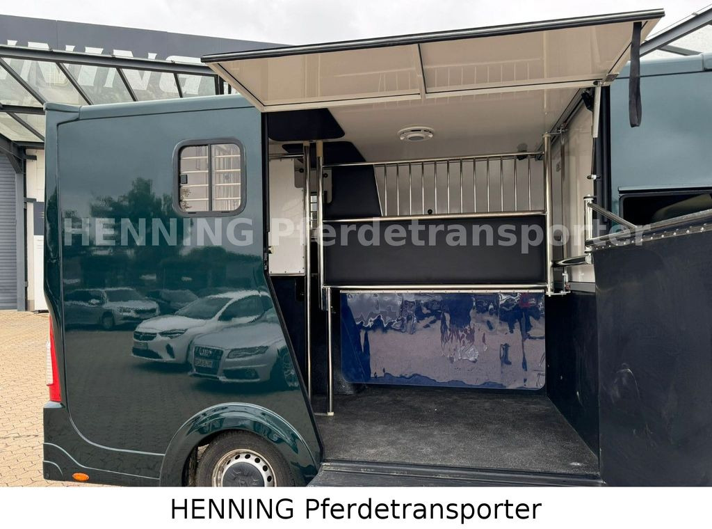 Renault Master 5 - Sitzer Automatik Renault Master 6 - Sitzer Automatik - Paardenvrachtwagen: afbeelding 5 Renault Master 5 - Sitzer Automatik Renault Master 6 - Sitzer Automatik - Paardenvrachtwagen: afbeelding 5