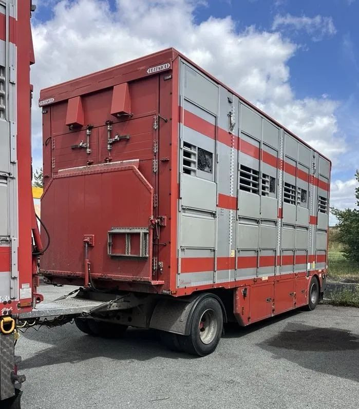 DAF XF 460 + Przyczepa Pezzaoli - 3X Trzoda, 2 X Bydło I 3 poziomy I Podnoszony dach I Hydroburta I Osie Skrętne I Poidła I Wentylatory I Pilot Manualny | Euro5 - Veewagen vrachtwagen: afbeelding 4 DAF XF 460 + Przyczepa Pezzaoli - 3X Trzoda, 2 X Bydło I 3 poziomy I Podnoszony dach I Hydroburta I Osie Skrętne I Poidła I Wentylatory I Pilot Manualny | Euro5 - Veewagen vrachtwagen: afbeelding 4