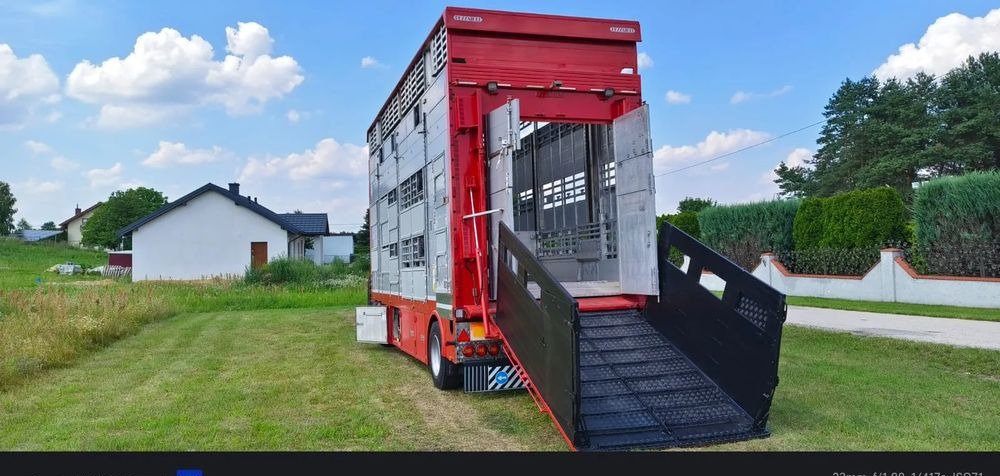 Pezzaioli RBA22 Dwuosiowa Przyczepa – 2x Bydło, 3x Trzoda – 2016r – Bezwypadkowa! - Veewagen aanhangwagen: afbeelding 1 Pezzaioli RBA22 Dwuosiowa Przyczepa – 2x Bydło, 3x Trzoda – 2016r – Bezwypadkowa! - Veewagen aanhangwagen: afbeelding 1