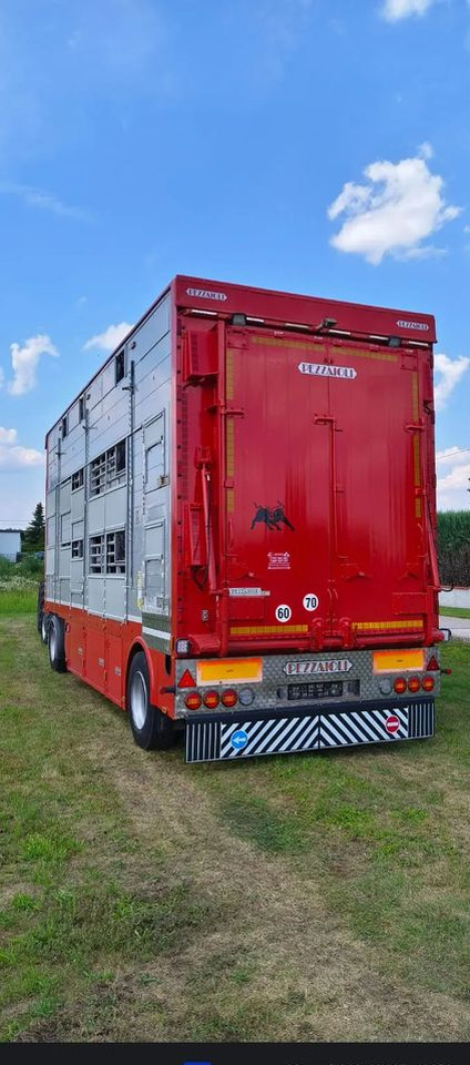 Pezzaioli RBA22 Dwuosiowa Przyczepa – 2x Bydło, 3x Trzoda – 2017r – Bezwypadkowa! - Veewagen aanhangwagen: afbeelding 4 Pezzaioli RBA22 Dwuosiowa Przyczepa – 2x Bydło, 3x Trzoda – 2017r – Bezwypadkowa! - Veewagen aanhangwagen: afbeelding 4