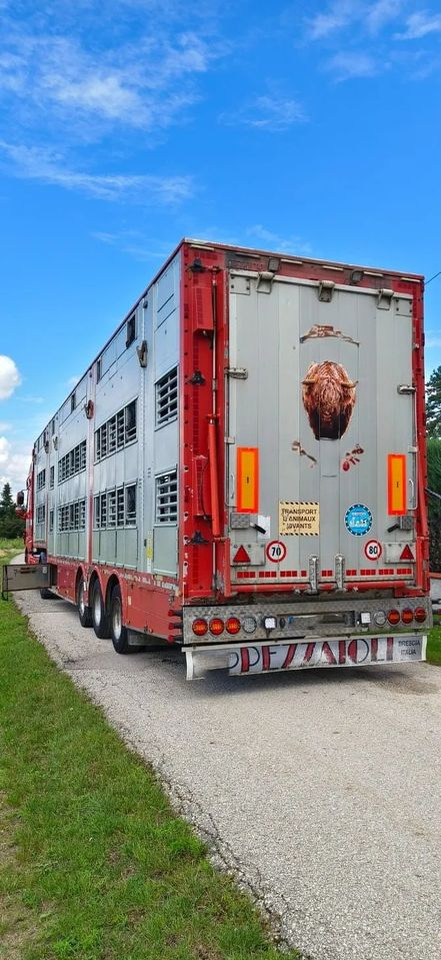 Pezzaioli SBA32/hydrauliczny dach/hydrauliczna rampa/ 3 poziomy/ 2xbydło -3xtrzoda/wentylatory/poidła/sterowanie pilotem - Veewagen oplegger: afbeelding 5 Pezzaioli SBA32/hydrauliczny dach/hydrauliczna rampa/ 3 poziomy/ 2xbydło -3xtrzoda/wentylatory/poidła/sterowanie pilotem - Veewagen oplegger: afbeelding 5