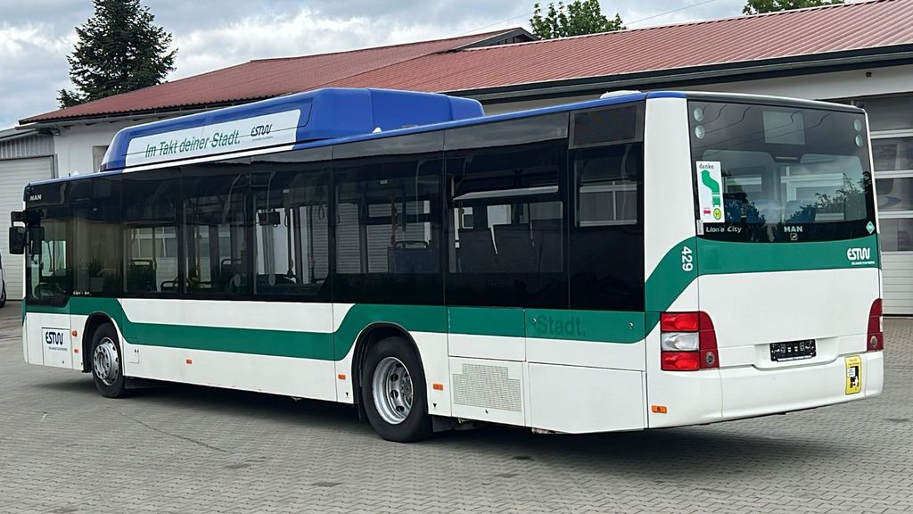 MAN A 21 CNG Euro 5 EEV MAN A 21 CNG Euro 5 EEV - Stadsbus: afbeelding 5 MAN A 21 CNG Euro 5 EEV MAN A 21 CNG Euro 5 EEV - Stadsbus: afbeelding 5