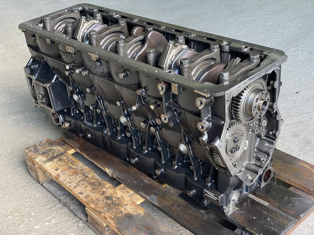 MAN TGX D3876 LF01 - EURO 6 - Cilinderblok voor Vrachtwagen: afbeelding 5 MAN TGX D3876 LF01 - EURO 6 - Cilinderblok voor Vrachtwagen: afbeelding 5