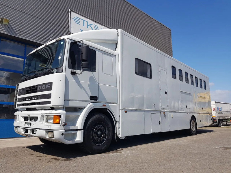 DAF 95.350 Paardenwagen met zitverblijf 7 paarden 7 horses - Paardenvrachtwagen: afbeelding 1 DAF 95.350 Paardenwagen met zitverblijf 7 paarden 7 horses - Paardenvrachtwagen: afbeelding 1