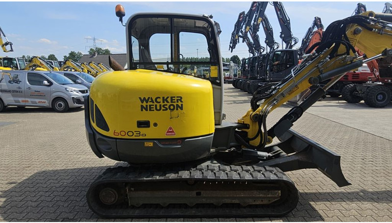 WACKER NEUSON 6003 - Rupsgraafmachine: afbeelding 5 WACKER NEUSON 6003 - Rupsgraafmachine: afbeelding 5