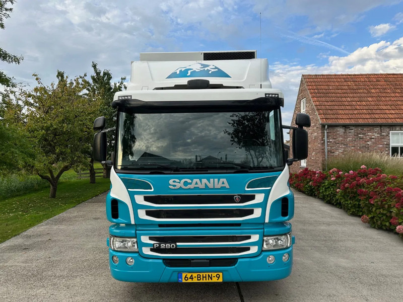 Scania P280 / NL TRUCK / FRIGOBLOCK FK 13(2019) / 2000kg LIFT / TOPCONDITION!! - Koelwagen vrachtwagen: afbeelding 3 Scania P280 / NL TRUCK / FRIGOBLOCK FK 13(2019) / 2000kg LIFT / TOPCONDITION!! - Koelwagen vrachtwagen: afbeelding 3