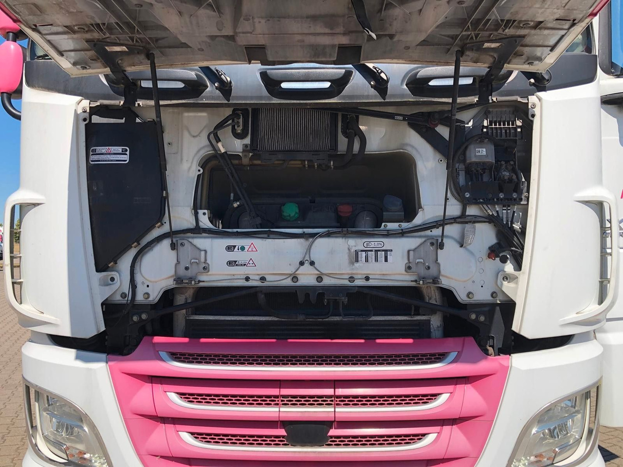 DAF XF460 SSC Liftachse*LBW*AHK*Standkl*Mega - Containertransporter/ Wissellaadbak vrachtwagen: afbeelding 2 DAF XF460 SSC Liftachse*LBW*AHK*Standkl*Mega - Containertransporter/ Wissellaadbak vrachtwagen: afbeelding 2