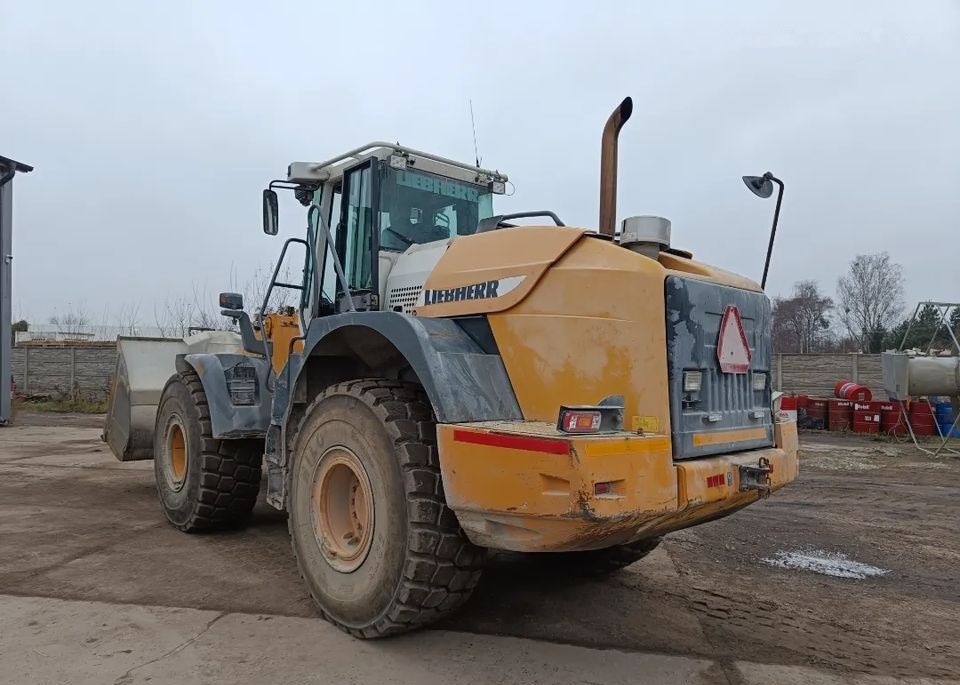 Liebherr L544 2 plus 2 - Wiellader: afbeelding 1 Liebherr L544 2 plus 2 - Wiellader: afbeelding 1