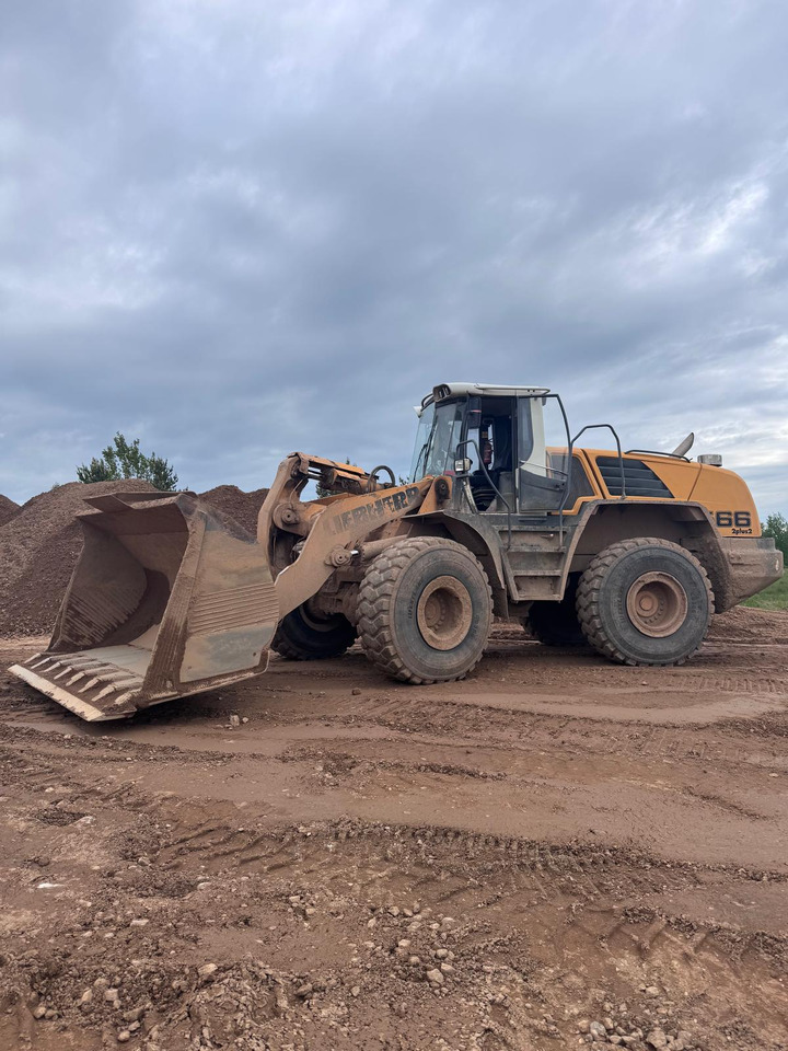 LIEBHERR L566 - Graaflaadmachine: afbeelding 1 LIEBHERR L566 - Graaflaadmachine: afbeelding 1