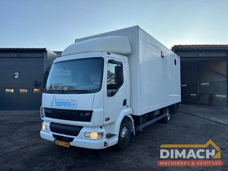 DAF FA LF45.150 4 paards, laadlift. Horsetruck NL truck - Paardenvrachtwagen: afbeelding 1 DAF FA LF45.150 4 paards, laadlift. Horsetruck NL truck - Paardenvrachtwagen: afbeelding 1