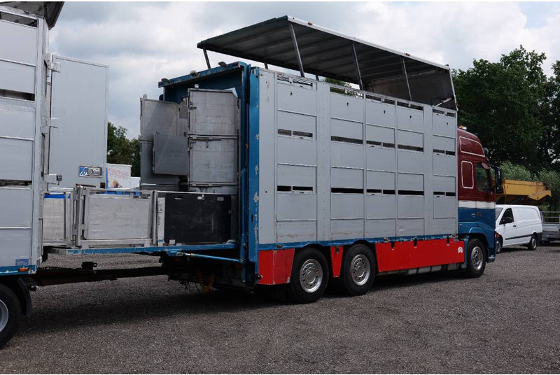 Volvo FH 13 480 6x2 3 stock livestock transport Cuppers - Veewagen vrachtwagen: afbeelding 5 Volvo FH 13 480 6x2 3 stock livestock transport Cuppers - Veewagen vrachtwagen: afbeelding 5