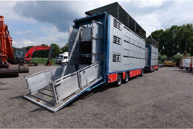 Volvo FH 13 480 6x2 3 stock livestock transport Cuppers - Veewagen vrachtwagen: afbeelding 3 Volvo FH 13 480 6x2 3 stock livestock transport Cuppers - Veewagen vrachtwagen: afbeelding 3