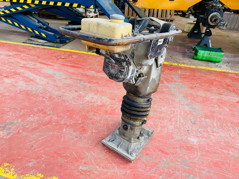 AMMANN Pilonneuse - Trilstamper: afbeelding 5 AMMANN Pilonneuse - Trilstamper: afbeelding 5