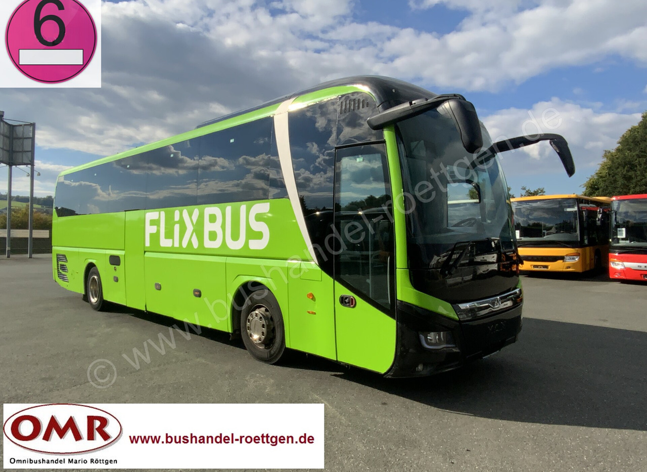 MAN R07 Lions Coach - Touringcar: afbeelding 1 MAN R07 Lions Coach - Touringcar: afbeelding 1