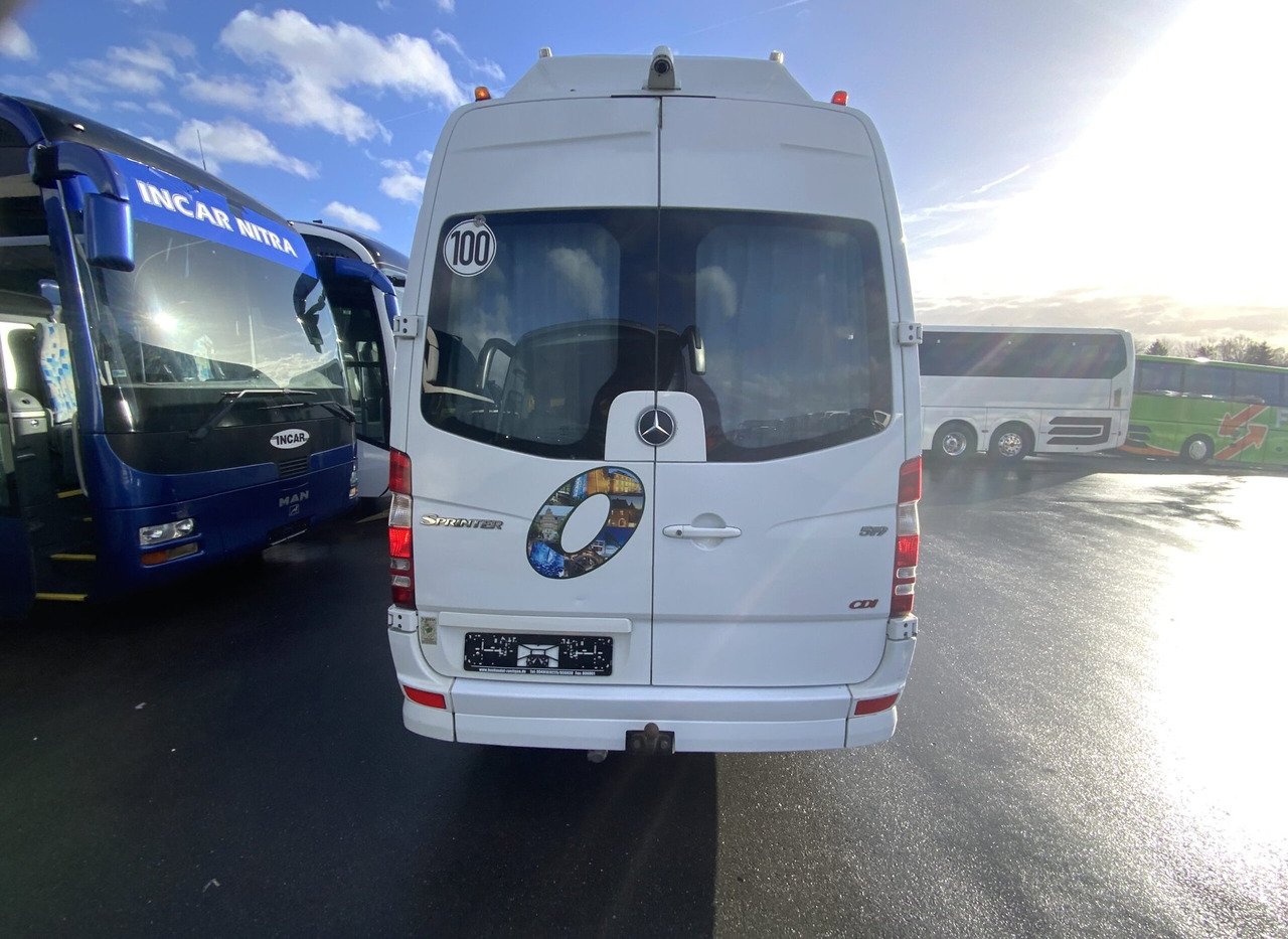Minibus, Personenvervoer Mercedes-Benz 519 CDI Sprinter: afbeelding 16