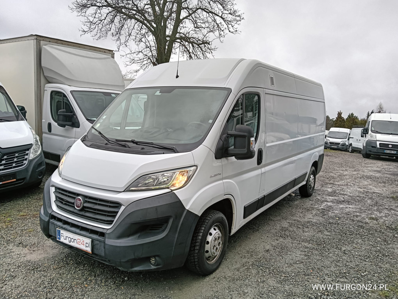 FIAT DUCATO FURGON BLASZAK L3H2 NR 819 - Kleine bestelwagen: afbeelding 1 FIAT DUCATO FURGON BLASZAK L3H2 NR 819 - Kleine bestelwagen: afbeelding 1