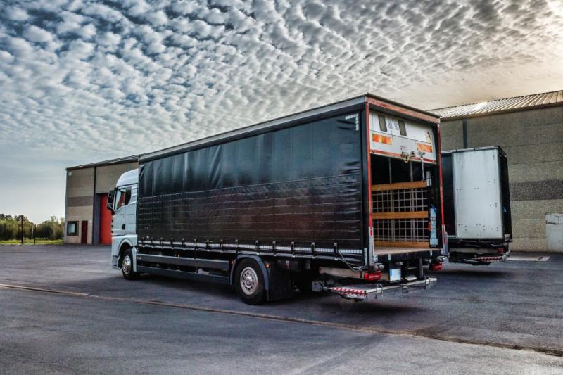 MAN TGX 18.400 XLX+HAYON - Schuifzeilen vrachtwagen: afbeelding 4 MAN TGX 18.400 XLX+HAYON - Schuifzeilen vrachtwagen: afbeelding 4