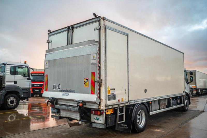 Renault PREMIUM 300DXI+POUSSIN/CHICKEN/KUIKEN/KÛKEN+DHOLLANDIA - Bakwagen: afbeelding 3 Renault PREMIUM 300DXI+POUSSIN/CHICKEN/KUIKEN/KÛKEN+DHOLLANDIA - Bakwagen: afbeelding 3