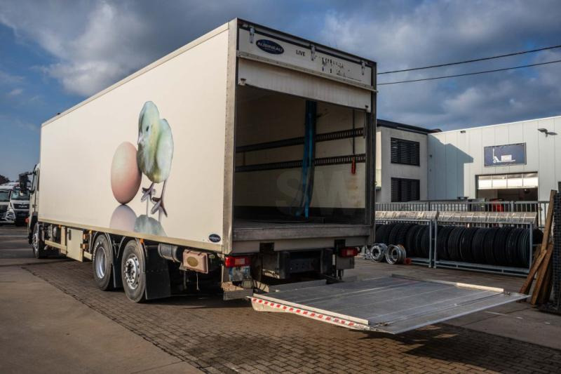 Koelwagen vrachtwagen Volvo FM340+POUSSIN/CHICKEN/KUIKEN/KÛKEN: afbeelding 6