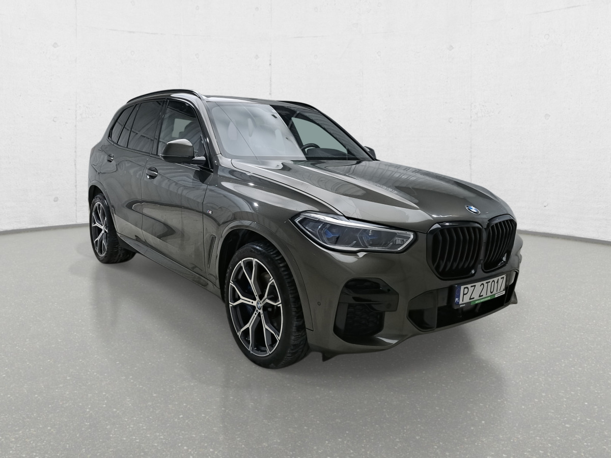 BMW X5 XDRIVE30D SUV - SUV: afbeelding 2 BMW X5 XDRIVE30D SUV - SUV: afbeelding 2