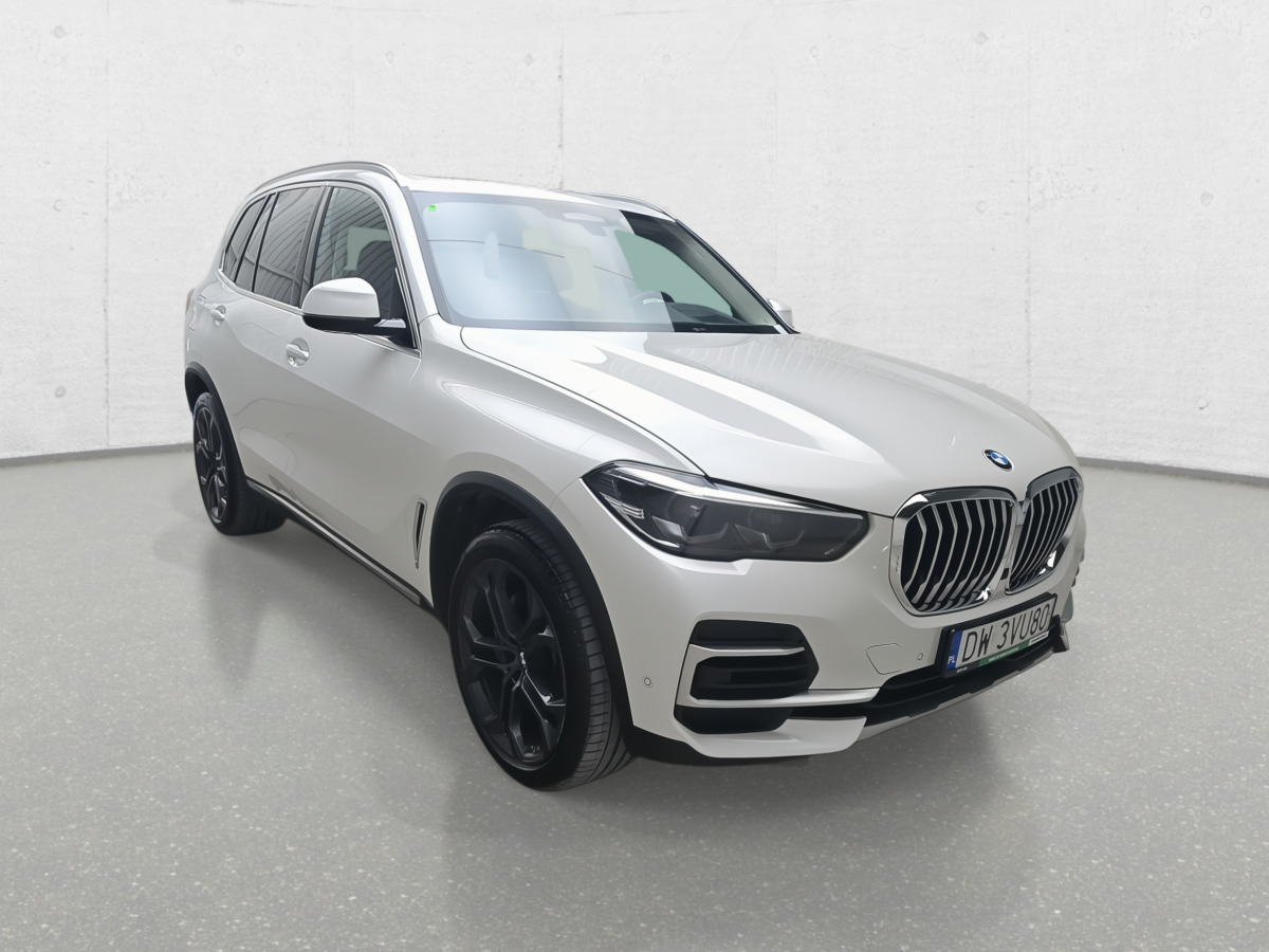 BMW X5 XDRIVE30D SUV - SUV: afbeelding 3 BMW X5 XDRIVE30D SUV - SUV: afbeelding 3