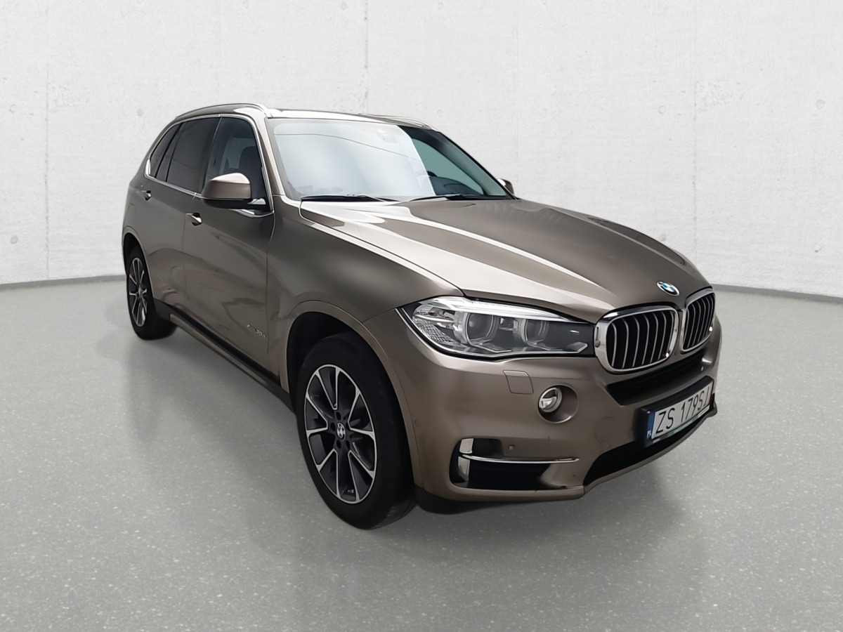 BMW X5 XDRIVE30D SUV - SUV: afbeelding 2 BMW X5 XDRIVE30D SUV - SUV: afbeelding 2
