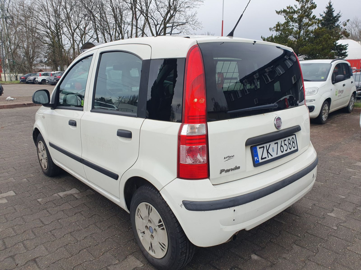 FIAT PANDA HATCHBACK - Hatchback: afbeelding 3 FIAT PANDA HATCHBACK - Hatchback: afbeelding 3
