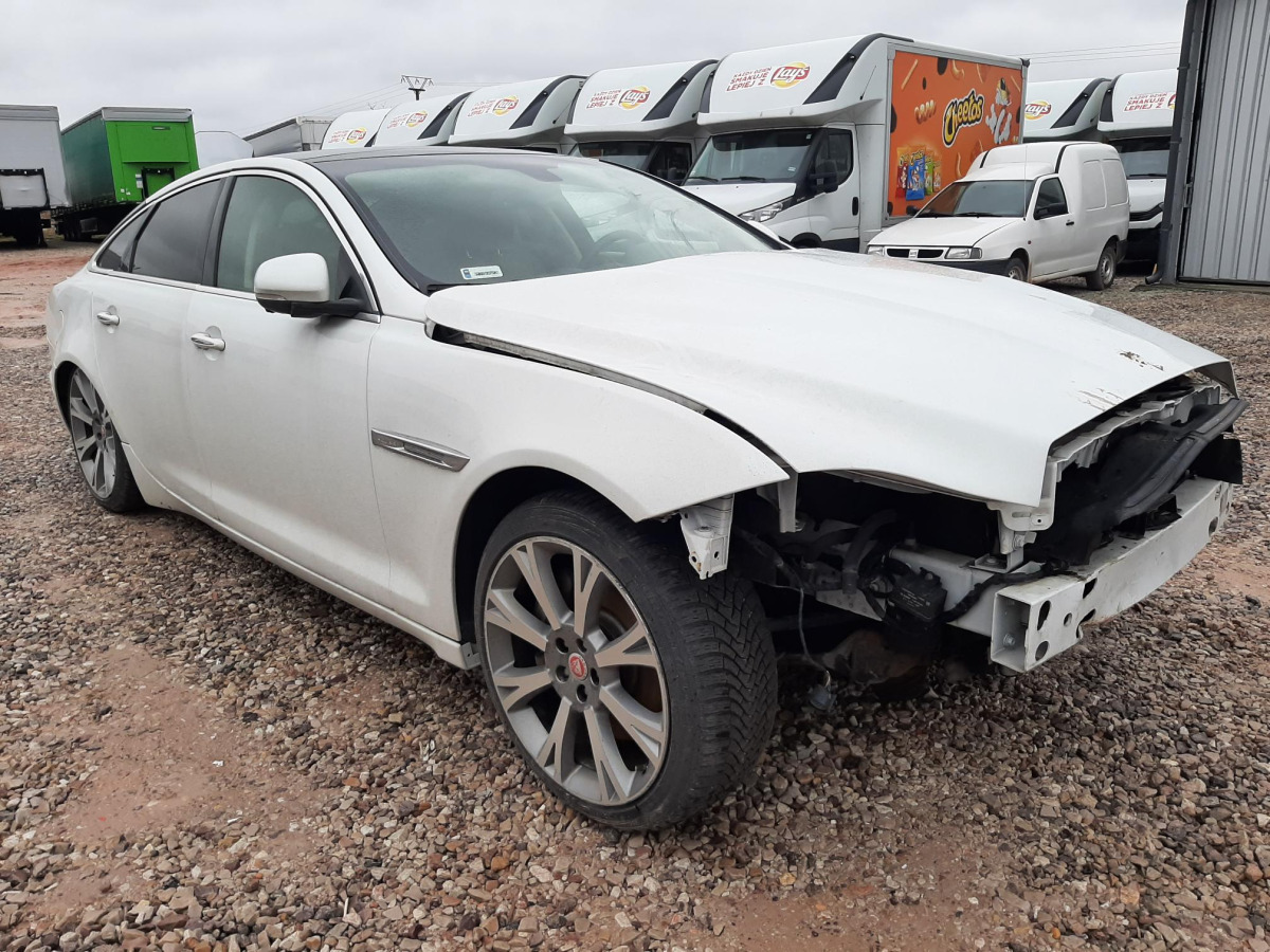 JAGUAR XJ SEDAN - Personenwagen: afbeelding 1 JAGUAR XJ SEDAN - Personenwagen: afbeelding 1